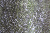 Furneux Pelham fibreglass roof work